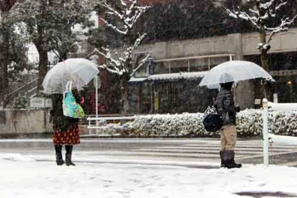 Trận mưa tuyết đầu tiên năm 2015 tại Tokyo khiến giao thông tê liệt ảnh 1