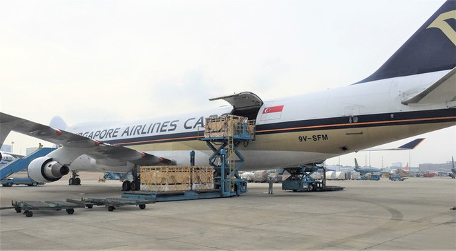 Vinamilk đưa thêm 200 "cô bò sữa hữu cơ" từ Australia về Việt Nam ảnh 1