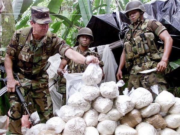 Colombia bắt giữ 72 thành viên của mạng lưới Clan Usuga ảnh 1
