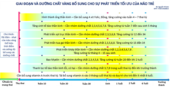 Dinh dưỡng vàng cho phát triển tối ưu não bộ trong những năm đầu đời ảnh 1