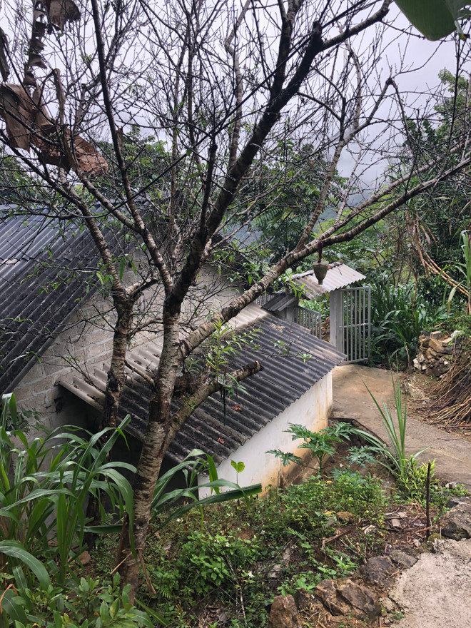 Quy định nồng độ bụi sợi amiang trắng tại Việt Nam ở mức nghiêm ngặt ảnh 2