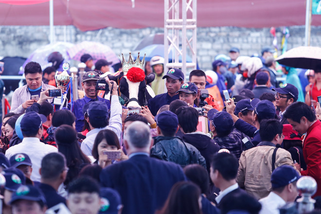 [Photo] Tưng bừng cuộc thi Hoa hậu bò sữa Mộc Châu 2016 ảnh 9