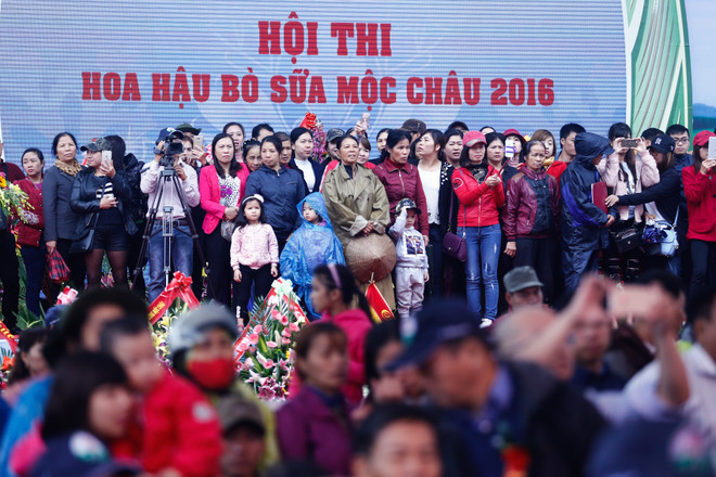[Photo] Tưng bừng cuộc thi Hoa hậu bò sữa Mộc Châu 2016 ảnh 5