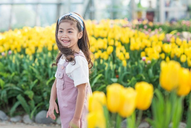 Lạc vào cánh đồng hoa tuylip tại Vinpearl Land Nha Trang ảnh 3