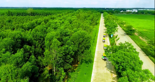 Đường vào “resort” xanh mướt với cây xanh và đồng cỏ mênh mông. (Ảnh: CTV) Tham quan Resort bò sữa Vinamilk, điểm đến hấp dẫn ở Tây Ninh ảnh 2