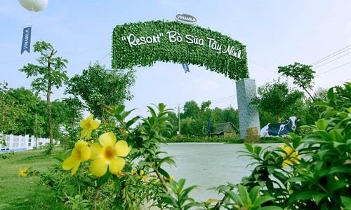 “Resort” bò sữa này là thành viên trong hệ thống chuẩn Global GAP lớn nhất châu Á về số lượng trang trại của Vinamilk. (Ảnh: PV) Tham quan Resort bò sữa Vinamilk, điểm đến hấp dẫn ở Tây Ninh ảnh 1