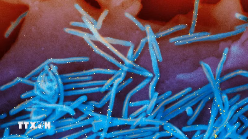 Thu hẹp khoảng trống miễn dịch để bảo vệ trẻ trước virus RSV