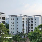 Ảnh minh họa. (Nguồn: Vietnam+)