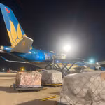 Vietnam Airlines đã thực hiện chuyến bay thứ hai vận chuyển hàng hóa hỗ trợ của Việt Nam tới Venezuela, nhằm giúp đỡ nước bạn vượt qua thảm họa động đất. (Ảnh: PV/Vietnam+)