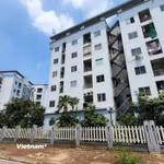 Chính phủ ban hành nghị định mới miễn thuế 22 trường hợp, bao gồm chuyển nhượng bất động sản, thu nhập từ trồng trọt, kiều hối và nhiều lĩnh vực khác. (Ảnh: Việt Hùng/Vietnam+)