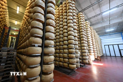 Phomát được chế biến tại Tortiano, Parma, Italy. (Nguồn: THX/TTXVN(