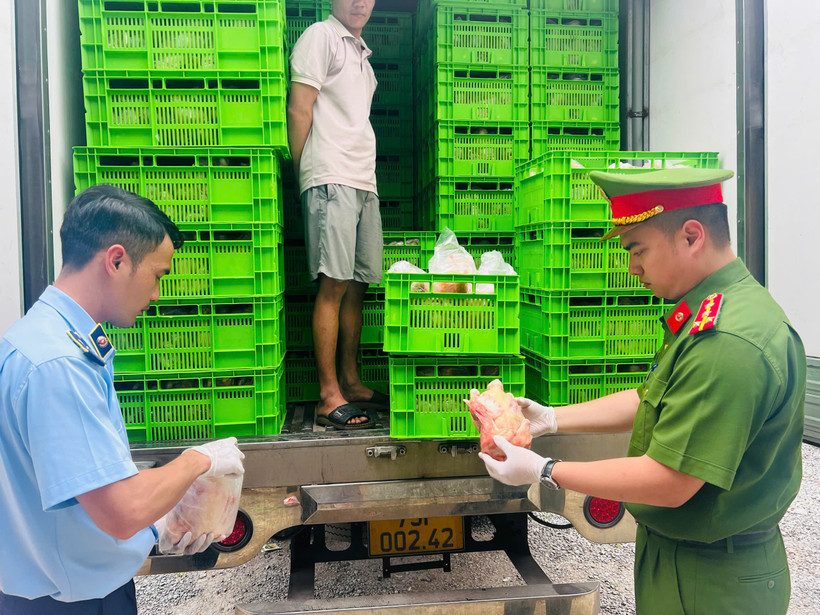 Lực lượng chức năng của Hà Nội kiểm tra kho lạnh chứa thực phẩm không rõ nguồn gốc tại khu vực gần chợ đầu mối gia cầm Hà Vỹ, huyện Thường Tín. (Ảnh: PV/Vietnam+)