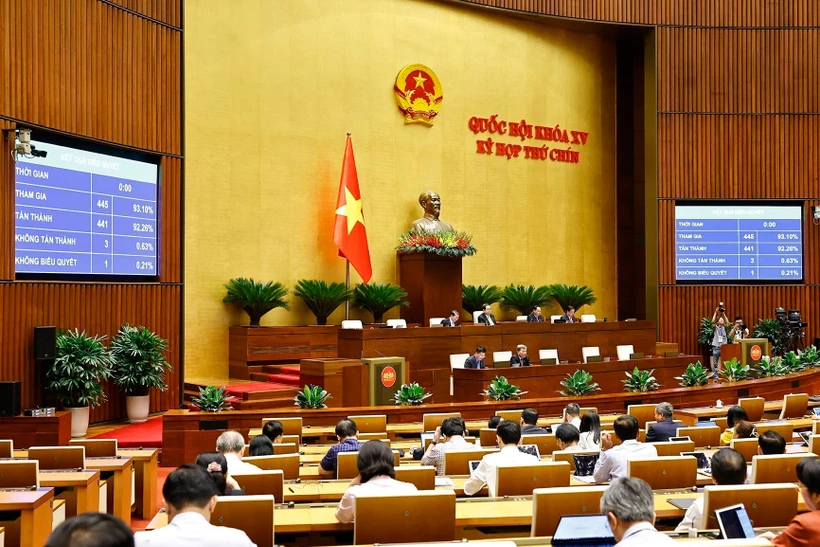 Quốc hội biểu quyết thông qua các dự án luật tại Kỳ họp thứ 9. (Ảnh: TTXVN)