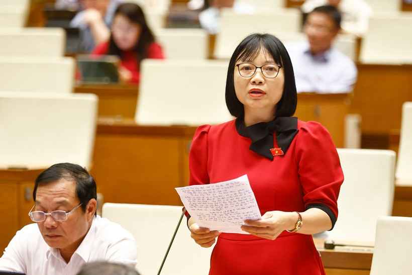 Các đại biểu thảo luận tại hội trường về các dự án luật. (Ảnh: An Đăng/TTXVN)