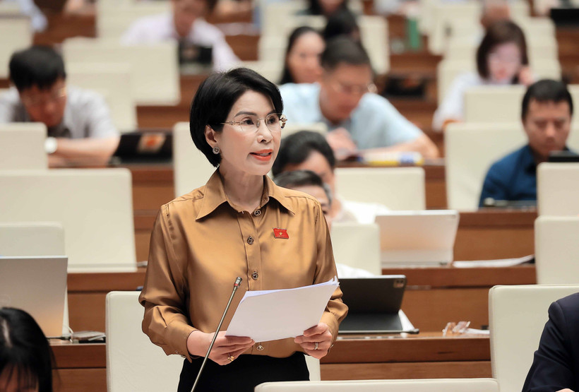 Các đại biểu Quốc hội thảo luận tại hội trường về dự án Luật Thanh tra (sửa đổi). (Ảnh: TTXVN)