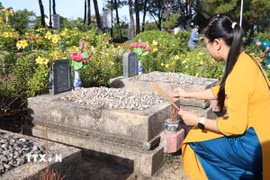 Thắp hương tri ân các phần mộ liệt sỹ tại Nghĩa trang Liệt sỹ thành phố Huế. (Ảnh: Mai Trang/TTXVN)