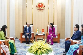 Bí thư Tỉnh ủy Quảng Ngãi Bùi Thị Quỳnh Vân tiếp Đại sứ Ấn Độ Sandeep Arya. (Ảnh: TTXVN phát)
