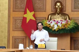 Phó Thủ tướng Bùi Thanh Sơn. (Nguồn: VGP)