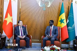 Chủ tịch Quốc hội Trần Thanh Mẫn hội kiến Tổng thống Senegal Bassirou Diomaye Faye. (Ảnh: Doãn Tấn/TTXVN)