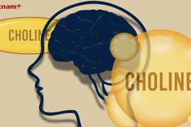 Choline nằm trong nhóm những dưỡng chất quan trọng mà có thể bạn chưa từng nghe đến. (Nguồn: Vietnam+)