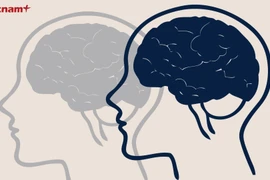 Ảnh minh họa. (Nguồn: Vietnam+)