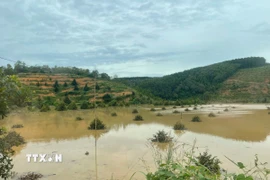 Cây trồng bị ngập sâu trong nước do ảnh hưởng thủy điện Đồng Nai 5 xả lũ. (Ảnh: K GỬIH/TTXVN)