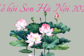 Lễ hội Sen Hà Nội 2026: Hội tụ tinh hoa văn hóa và sáng tạo từ hoa sen