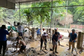 Ngoài lực lượng tại chỗ, các xã, bản, trường học ở Nghệ An còn nhận được sự hỗ trợ, giúp đỡ từ các đơn vị khác trong tỉnh để vượt qua khó khăn do lũ. (Ảnh: TTXVN phát)