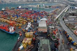 Một cảng hàng hóa ở Thổ Nhĩ Kỳ. (Nguồn: Ports Europe)