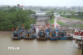 (Ảnh minh họa: Xuân Tiến/TTXVN)