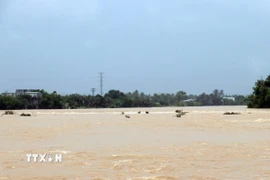 Mưa lớn sẽ làm lũ trên các sông tiếp tục lên và một số nơi vượt mốc lũ lịch sử. (Ảnh: Công Thử/TTXVN)