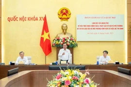 Phó Chủ tịch Quốc hội Lê Minh Hoan phát biểu tại cuộc làm việc. (Nguồn: Báo Đại biểu Nhân dân)