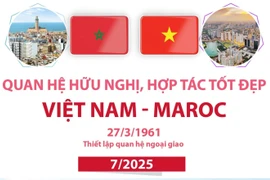 Quan hệ hữu nghị, hợp tác tốt đẹp Việt Nam-Maroc