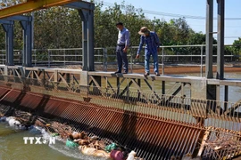 Lưới chắn rác tại kênh Phước Hòa-Dầu Tiếng bị tắc nghẽn do rác thải và xác gia súc, gia cầm vứt trái phép. (Ảnh: Minh Phú/TTVXN)