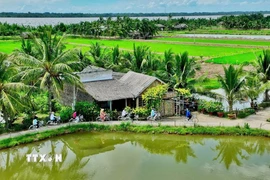 Điểm du lịch cộng đồng Cồn Chim, Châu Thành, Trà Vinh. (Ảnh: TTXVN phát)