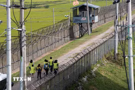 Tuyến đường mòn hòa bình DMZ, Paju, Hàn Quốc. (Ảnh: Yonhap/TTXVN)