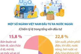 Đầu tư của Việt Nam ra nước ngoài gấp 3,6 lần so với cùng kỳ năm 2024