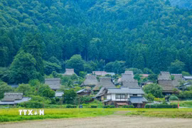 Nhắc đến Kyoto, ai cũng nghĩ đến chùa Vàng Kinkaku-ji lộng lẫy, chùa Thanh Thủy Kiyomizu-dera cổ kính hay những con phố cổ ở Gion. Thế nhưng, cách trung tâm cố đô Nhật Bản khoảng 1,5 tiếng di chuyển, có một Kyoto rất khác - yên bình, mộc mạc và gần như không bị cuốn theo nhịp sống hiện đại. Đó là Kayabuki no Sato, ngôi làng cổ nằm giữa thung lũng Miyama, nơi vẫn còn gần 40 ngôi nhà mái tranh truyền thống được người dân gìn giữ và sinh sống qua nhiều thế hệ. (Ảnh: Xuân Giao/TTXVN)