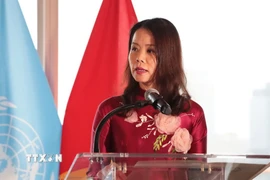 Thứ trưởng Bộ Ngoại giao Nguyễn Minh Hằng. (Ảnh: Thanh Tuấn/TTXVN)