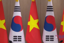 Tổng Bí thư Tô Lâm hội đàm với Tổng thống Hàn Quốc Lee Jae Myung