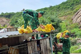 Chiến sĩ Bộ đội Biên phòng Đảo Trần (Bộ đội Biên phòng Quảng Ninh) giúp người dân chằng chống nhà cửa trước bão. (Ảnh: Thanh Vân/TTXVN)