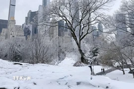 Ngày 25/1/2026, nhà chức trách Mỹ cho biết trận bão mùa Đông quét qua hơn 40 tiểu bang của nước này đang gây ra nhiều hậu quả nghiêm trọng và ảnh hưởng trực tiếp tới hơn 230 triệu người dân Mỹ. (Ảnh: Thanh Tuấn/TTXVN)