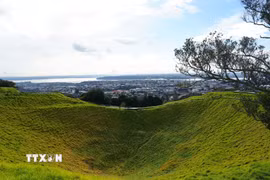 Mount Eden (tên gọi tiếng Māori: Maungawhau, nghĩa là "ngọn núi của cây whau" - cây gỗ đặc hữu siêu nhẹ của New Zealand) là đỉnh núi tự nhiên cao nhất trên đất liền thuộc vùng Auckland với độ cao 196m so với mực nước biển. Đây là ngọn núi lửa đã ngưng hoạt động khoảng 28.000 năm trước, nổi bật với lòng chảo miệng núi lửa sâu 50m phủ đầy thảm cỏ xanh mướt - một địa điểm thiêng liêng mang giá trị lịch sử và tâm linh đặc biệt đối với người Māori. (Ảnh: Lê Đạt/TTXVN)
