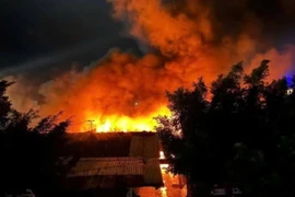 Lửa bốc cao hàng chục mét, kèm theo nhiều tiếng nổ lớn khiến người dân xung quanh hoảng sợ. (Nguồn: Facebook Bình Định Thông Tin)