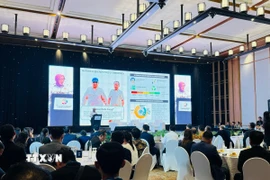 Diễn đàn kết nối lưu vực sông Mekong-Indonesia lần thứ 2, với chủ đề: “Hợp tác an ninh năng lượng trong khu vực." (Ảnh: Đỗ Quyên/TTXVN)