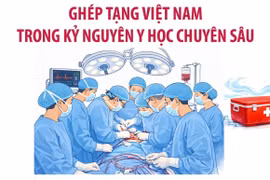 Ghép tạng Việt Nam trong kỷ nguyên y học chuyên sâu