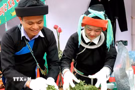 Người dân xã Cao Bồ phơi, sấy và sao chè Shan tuyết, góp phần nâng cao chất lượng và giá trị sản phẩm. (Ảnh: Đức Thọ/TTXVN)