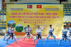 Các vận động viên đến từ Triều Tiên trình diễn võ thuật Taekwondo. (Ảnh: Thu Hằng/TTXVN)