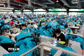 May hàng xuất khẩu sang thị trường Mỹ, EU tại Công ty may Maxport. (Ảnh: Trần Việt/TTXVN)