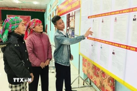 Danh sách và tiểu sử tóm tắt của các ứng cử viên được niêm yết công khai để cử tri tìm hiểu trước khi lựa chọn. (Ảnh: Đồng Thúy/TTXVN)